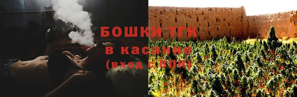 мдпв Карпинск