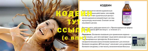 мдпв Карпинск